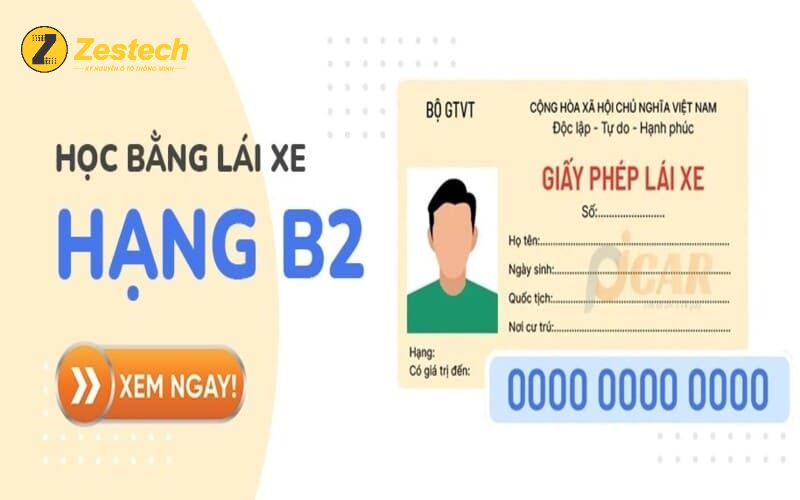 Tất tần tật điều cần biết khi học bằng lái xe ô tô B2 dành cho người mới