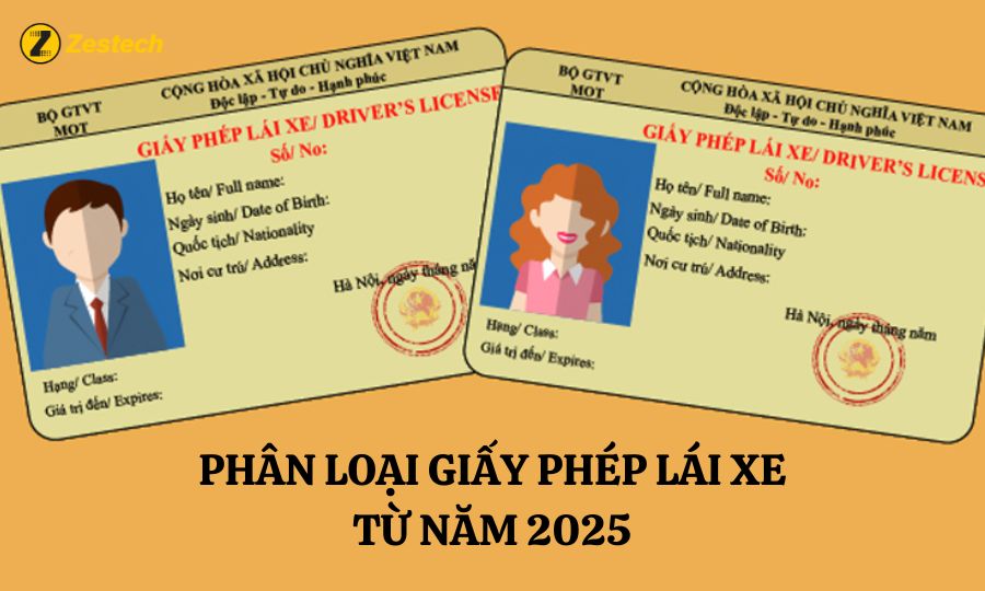 PHAN-LOAI-GIAY-PHEP-LAI-XE-TU-NAM-2025