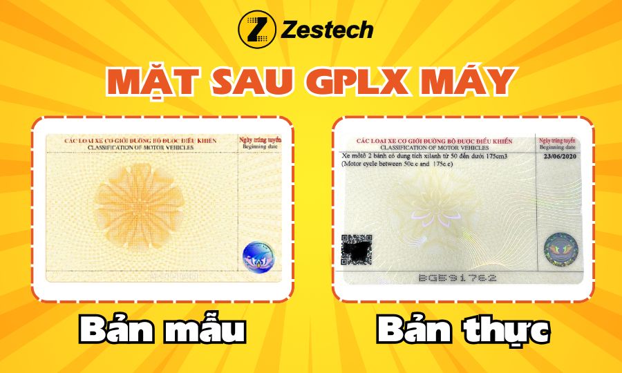 Mặt sau giấy phép lái xe máy màu gì? Bao gồm thông tin gì?