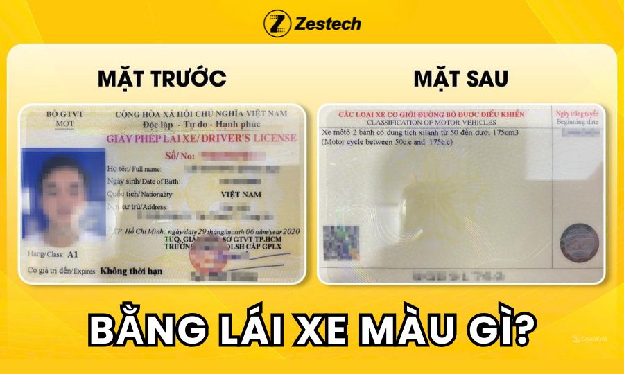 Bằng lái xe màu gì? Hướng dẫn phân biệt bằng lái xe thật – giả