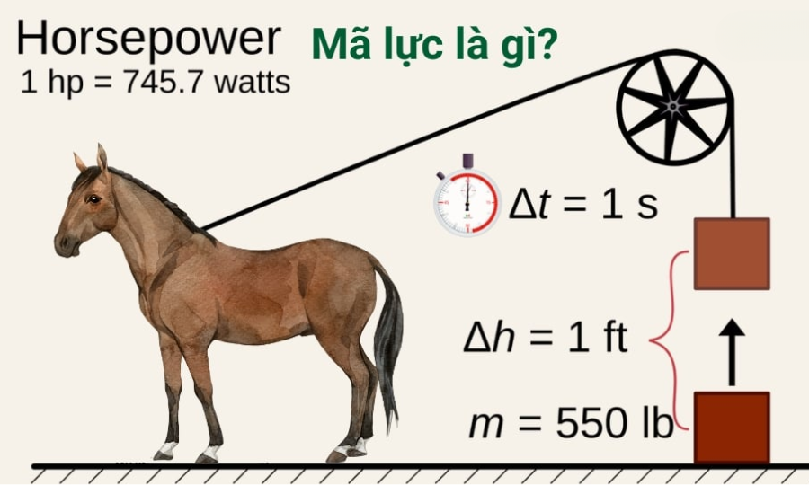 Mã lực là gì? Tại sao sức mạnh động cơ ô tô gọi là mã lực? 7 Công thức tính mã lực là gì?